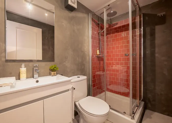 里斯本希亚多历史区现代公寓 公寓